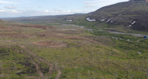 Оценка состояния растительности на участках первоочередного освоения Черногорского месторождения
