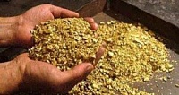 Balkhachsky gold-bearing zone